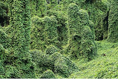 TGA 2023：合作FPS游戏《Den of Wolves》预告