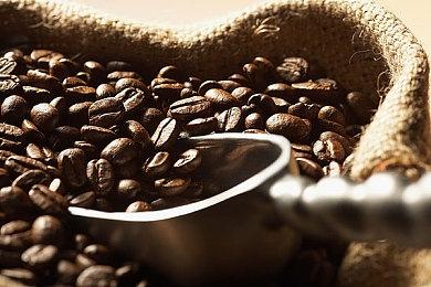 卡普空公布参展东京电玩展概要 《怪猎：荒野》提供试玩